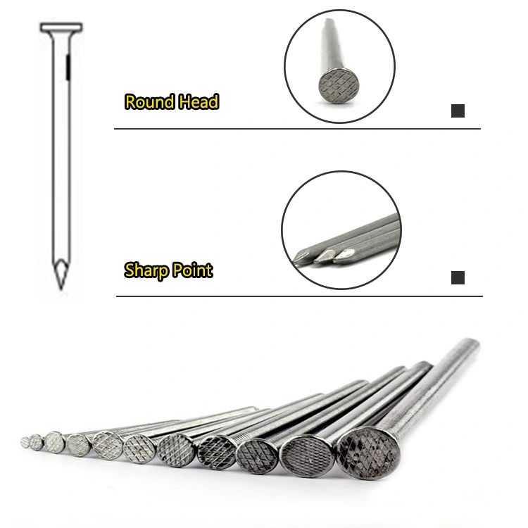 New Design Wire Nail Manufacture in India Common Nail Type and Iron Material Nails with High quality/High cost performance 