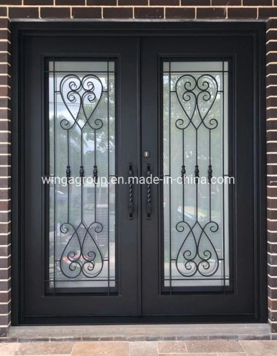 Decorate Arc Glass Wrought Iron Steel Security Door Wg-Sg-08