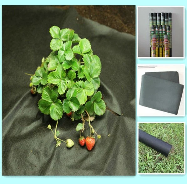 Non-Woven Fabric Cloth Roll Biodegradable PP Anti-UV Treatment Landscape