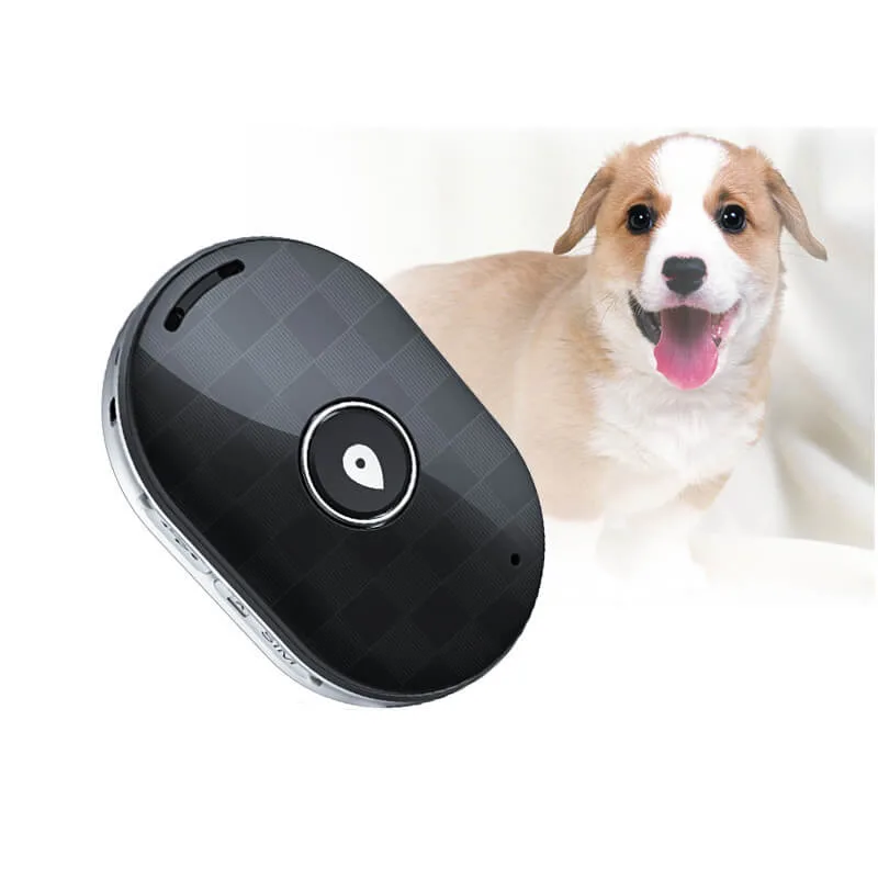 Hot Selling IP67 Waterproof 2G GSM Security Cats Dog Puppies Pets GPS Tracker with GEO-Fence Alarm Alert PM01