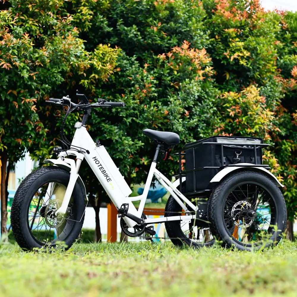Hotebike 3 Wheel Electric Bike Trike 20inch Fat Tire 3 Wheel Electric Tricycle Three Wheels Adult Cargo Electric Bike Bicycle
