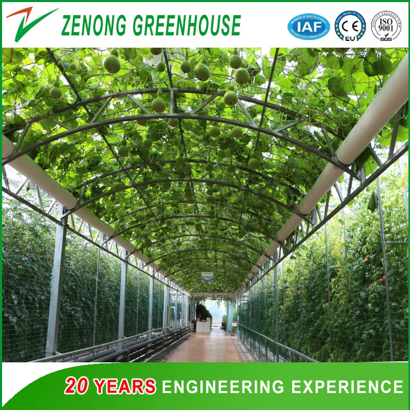 Large Size Glass Multi-Span Intelligent Greenhouse with Automatic Control system for Ecological Hotel/Sightseeing/Fruit