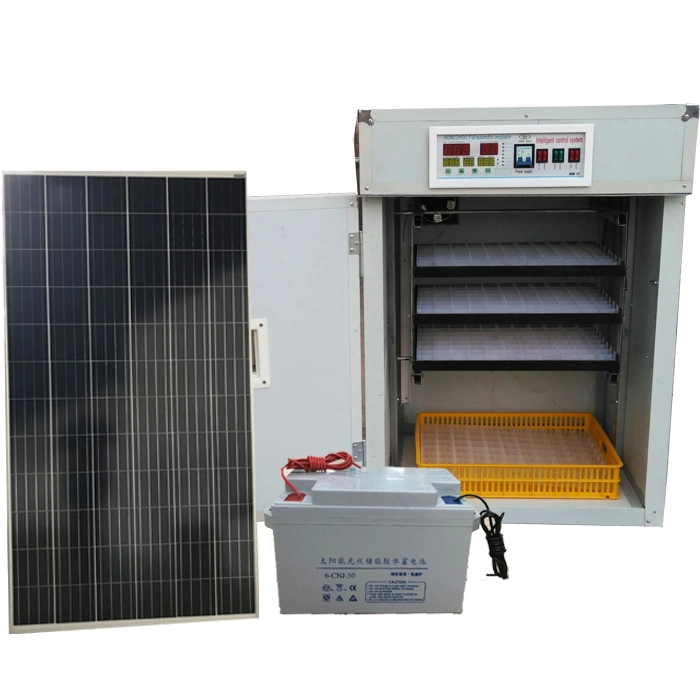 Newest Solar Power Chicken Egg Incubator 200 Eggs in Africa Country