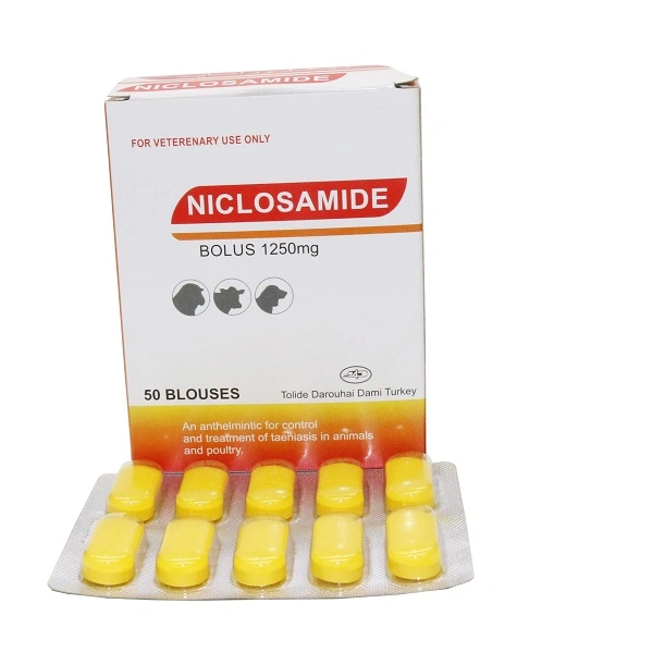 Veterinary Medicine Drugs Wholesale/Supplier Lowest Price1250mg Niclosamide Bolus Best Price GMP Certificate