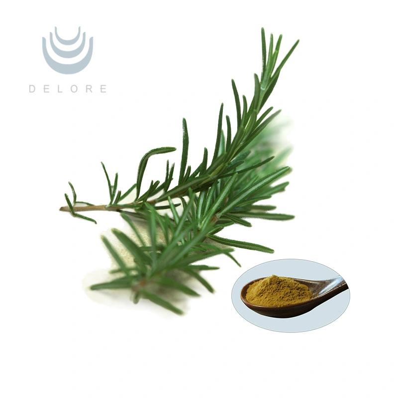 Manufacturer Offer Feed Antioxidant Supplement for Animals Thyme and Rosemary Leaf Extract