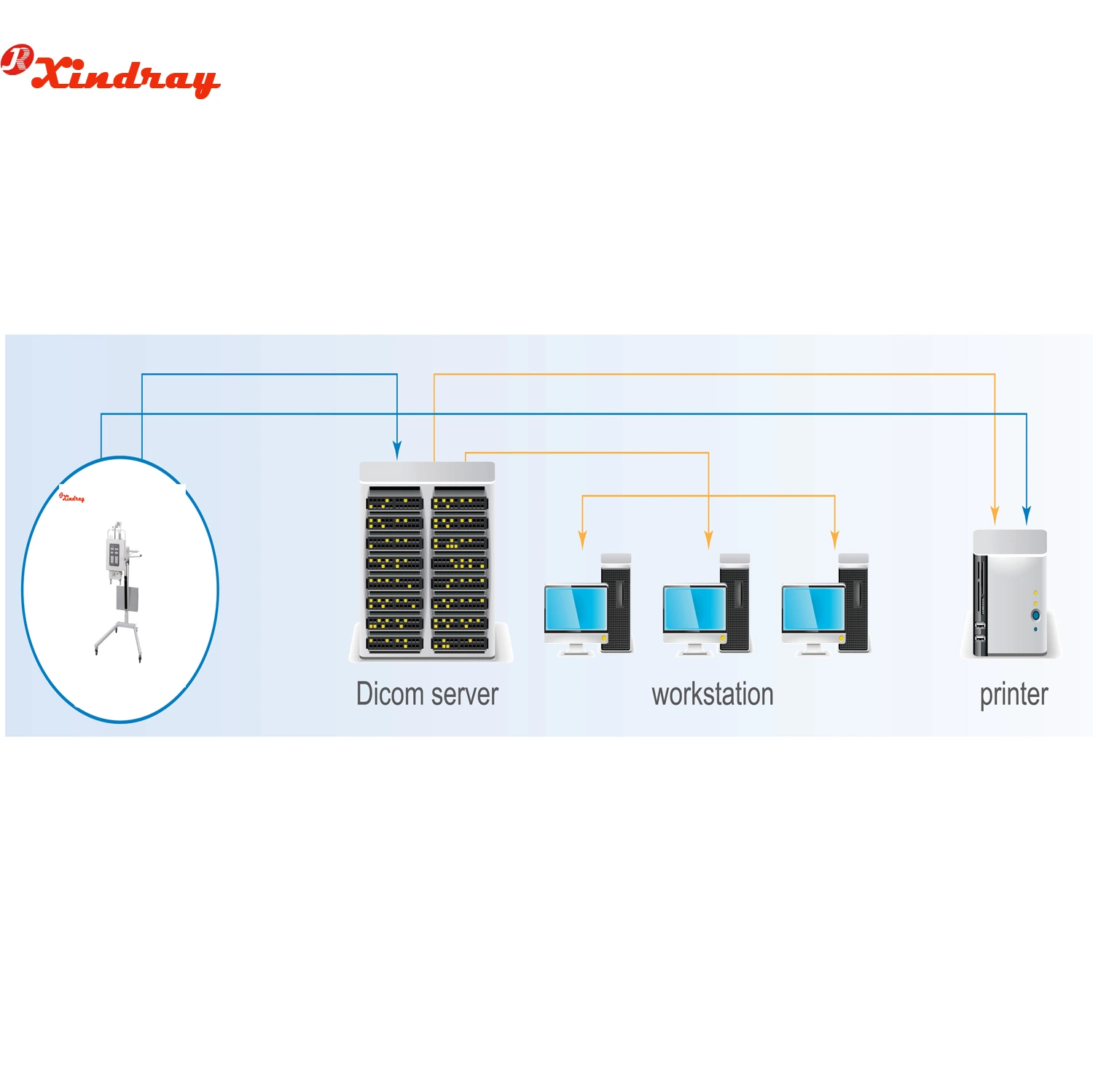 Touch Screen Hospital Portable Veterinary X-ray Machine with Mobile Device for Clinic