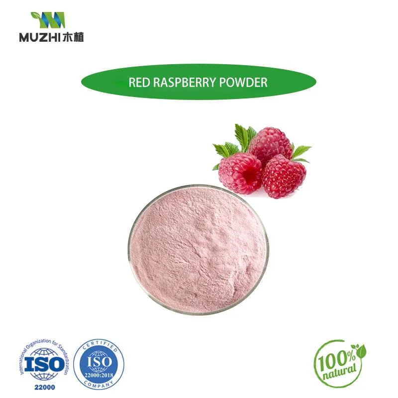 Sample Bulk Organic Strawberry Fruit Juice Concentrate Flavor Powder