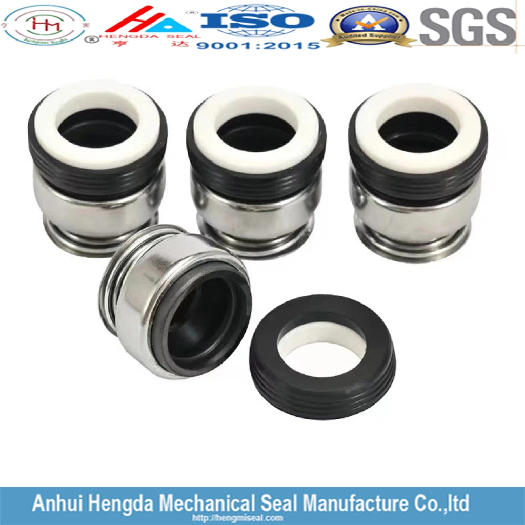 Hm 301-38/301-40/301-45/301-50/301-55/301-60 Rubber Oil Seal Mechanical Seal Price