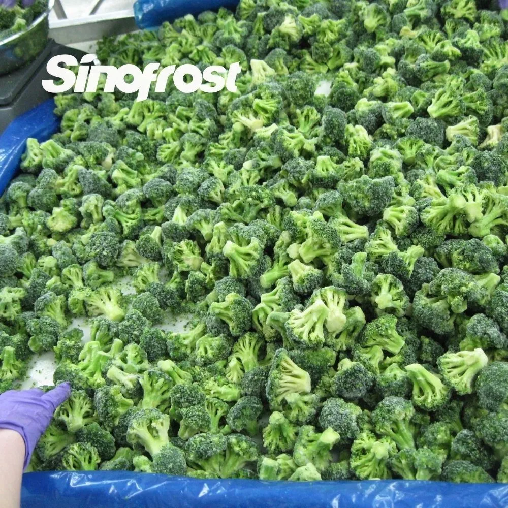 Brc/Sedex/Halal Certified, IQF Frozen Broccoli, Wholesale/Supplier Bulk Supplier, 10-20/20-40/30-50/40-60mm, Florets/Cuts/Nuggets/Spears, IQF Frozen Broccoli for Horeca