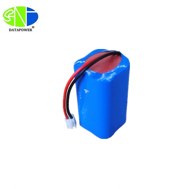 Dtp Best Price Rechargeable Li-ion Battery Pack 12V 10ah Battery Pack