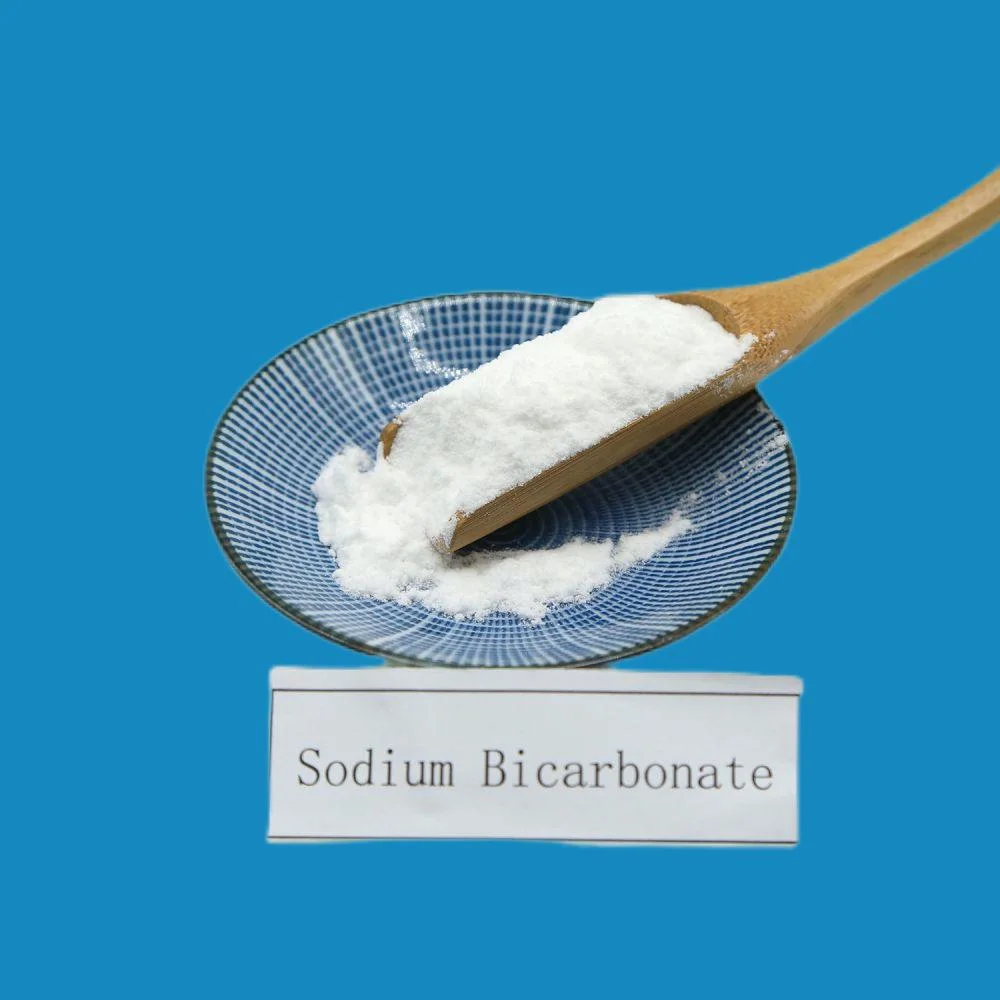 Sodium Bicarbonate with Big Particle Size for Rubber and Sponge Production