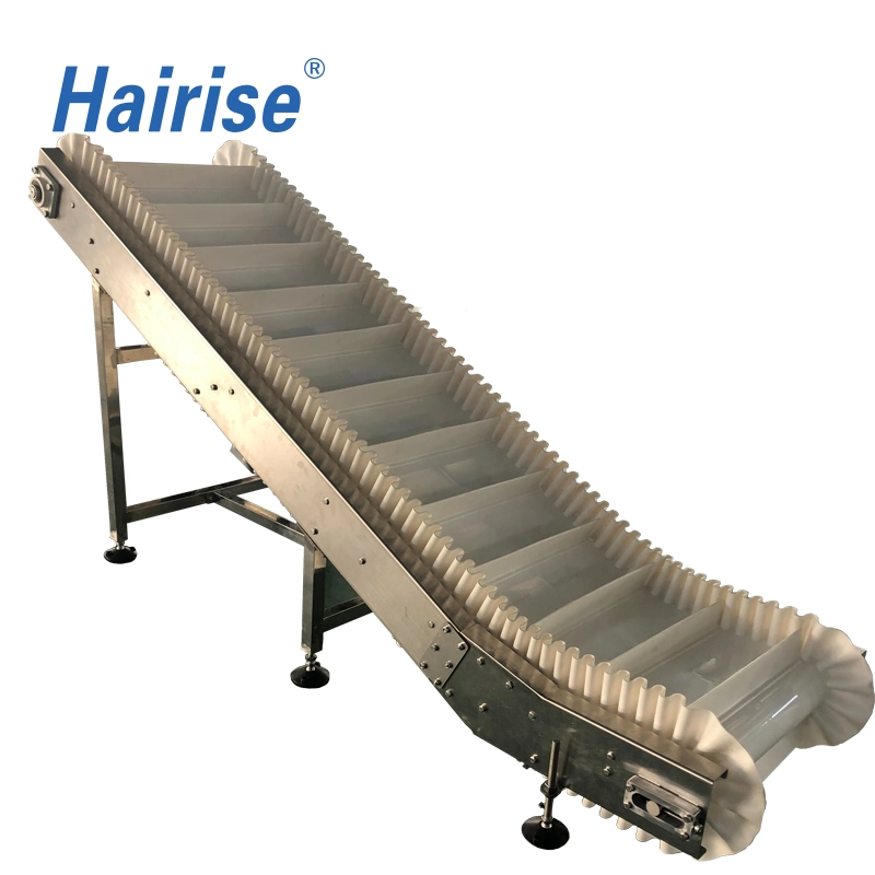 Hairise Food Grade Modular Belt Conveyor System Used for Package & Logistic Industry Wtih FDA& Gsg Certificate