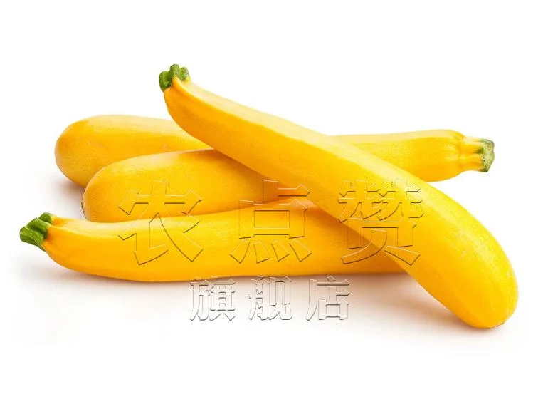 Yellow Skin Hybrid Squash Fruit Banana Zucchini Seeds