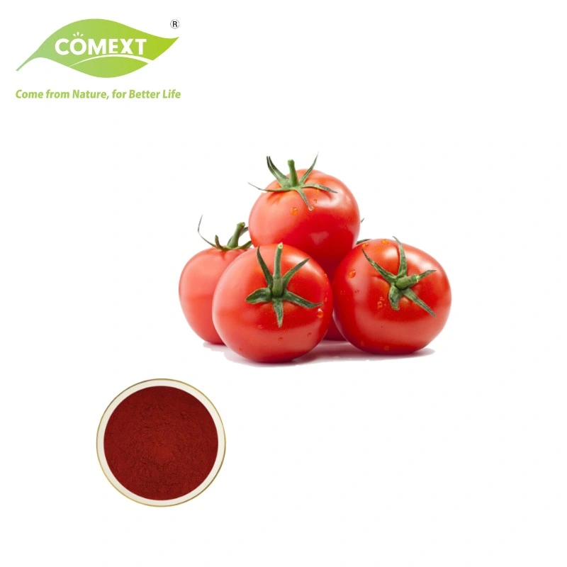 Comext Wholesale/Suppliers Bulk High quality/High cost performance  Dry Vegetable Tomato Powder