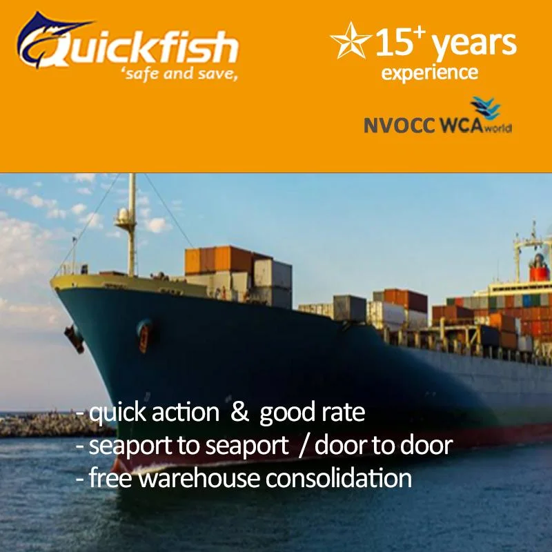 Discount Price with Sea Freight to Australia Shipping Logistics Services From China to Au/UK/USA, Alibaba Amazon Wholesal Cargo DDU DDP Door to Door