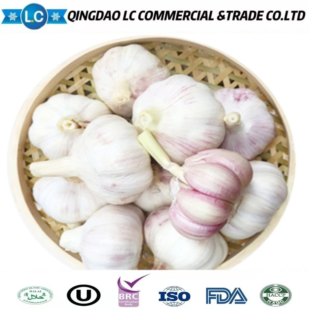 China White Frozen Garlic in 10kg Carton