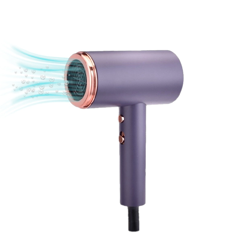 Negative Lon Electrical Househair Dryer