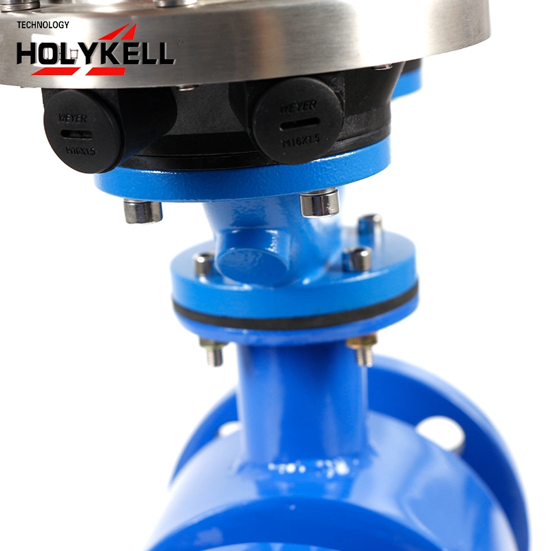 Holykell Wireless Water Electronic Battery Powered Electromagnetic Flow Meter