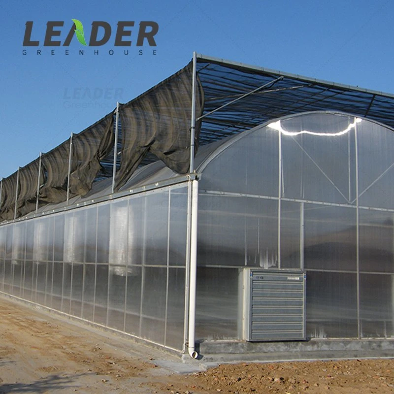 Agricultural 200/150 Micron Po Plastic Film Greenhouse Covering Materials in China