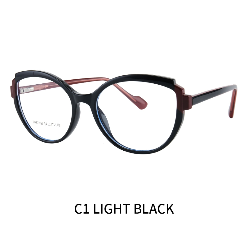 Tr87192 2023 Fresh New Model China Fashion Style Black High quality/High cost performance  Tr90 Optical Frame Anti Blue Eyeglasses