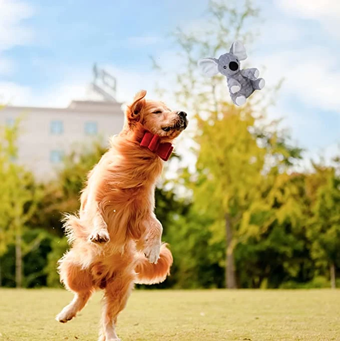 El Koala Squeaky perro espuma suave de juguetes con papel de ondulada por medio de grandes perros pequeños