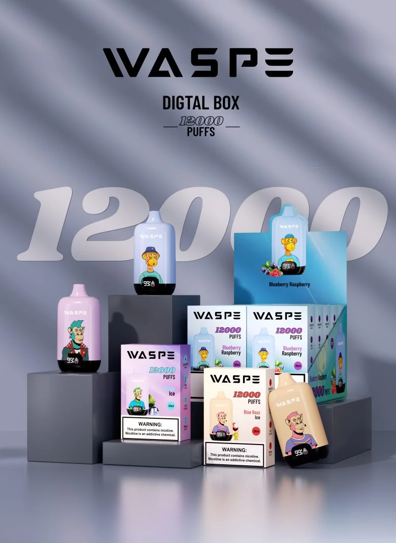 Waspe Digital Box 20ml eJuice 12000puffs einmal-Vape Pen mit Bildschirmanzeige