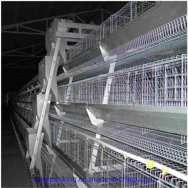 Supply Completely Automatic Laying Hen/Egg Layer Battery H Type Chicken Cages System