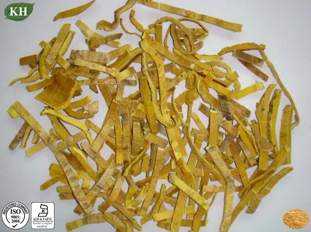 Extracto natural de Phellodendron Amurense 97% 98% Clorhidrato de Berberina