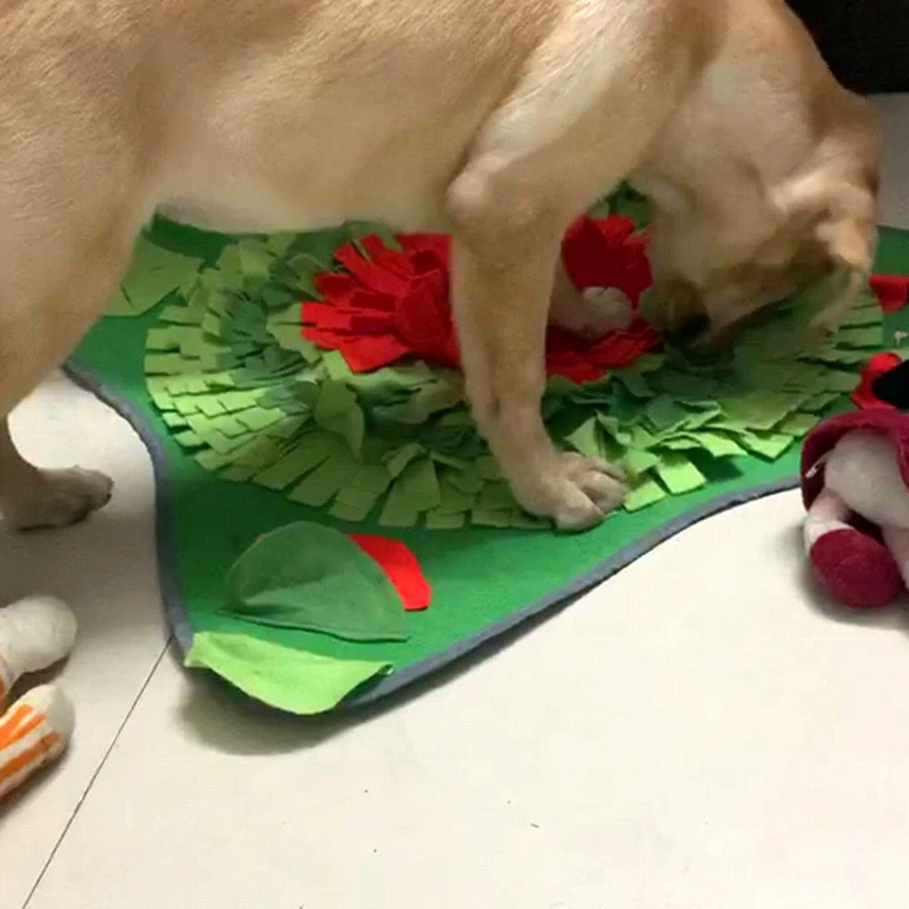 Snuffle Mat Pet Dog Puzzle Toys Treat Feeding Playing Blanket Pet Toy