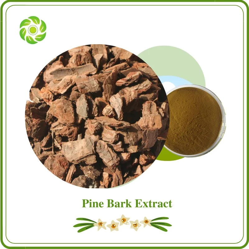 Word Well-Being High Quality Pine Bark Extract 95% Proanthocyanidin