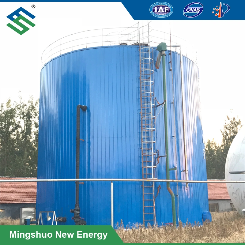 Biogas Digester for Power Generation