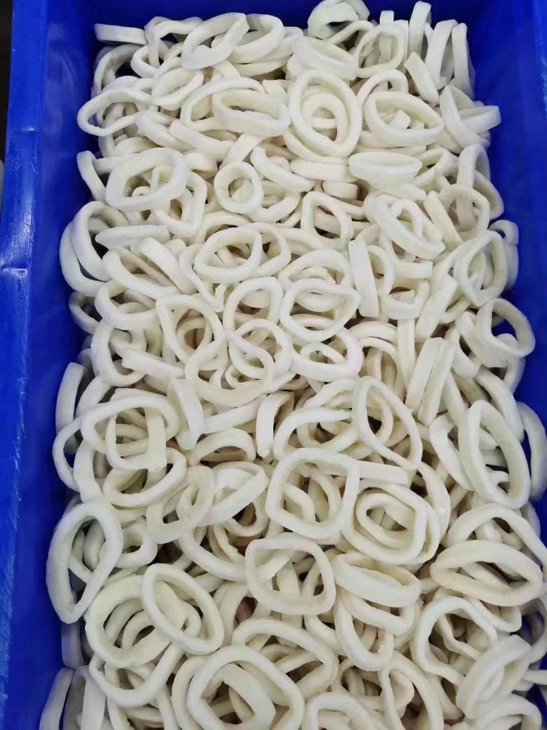 La mejor calidad de alimentos congelados marinos calamar Illex/Gigas Pota Calamares Sotong Ring