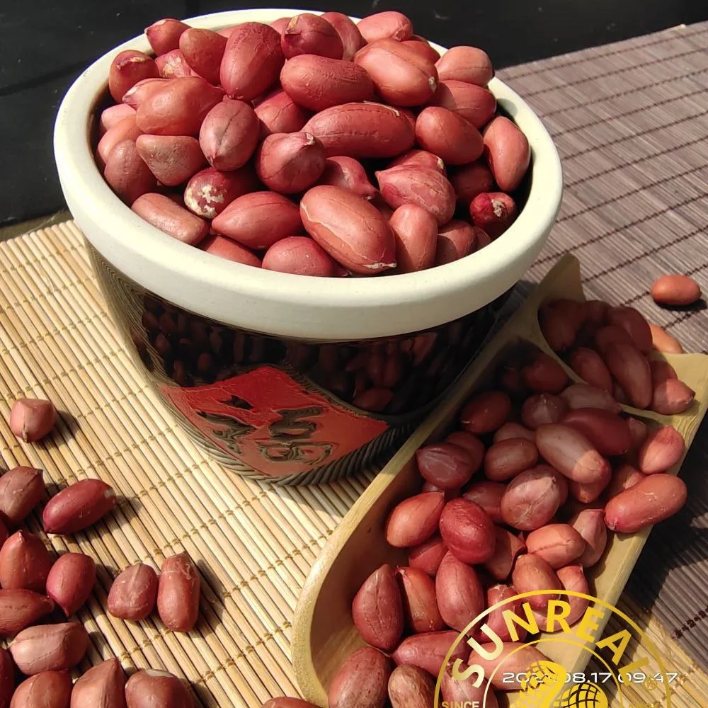 Raw Peanut Kernels/Red Skin/Superior Quality/All Size/Pukee Foods/Sunreal