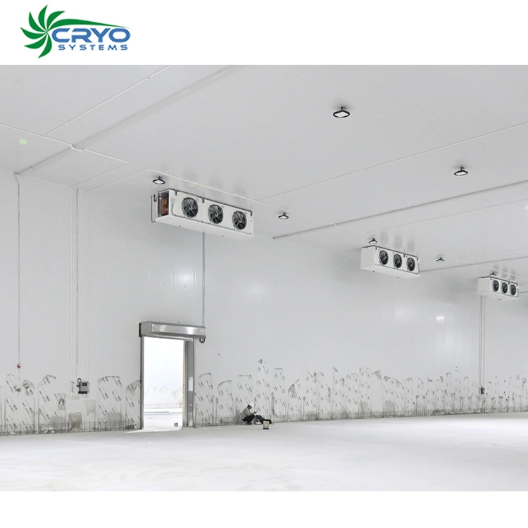 Customized Design Cold Storage Freezer Room in Food Processing, Farms, Warehouse