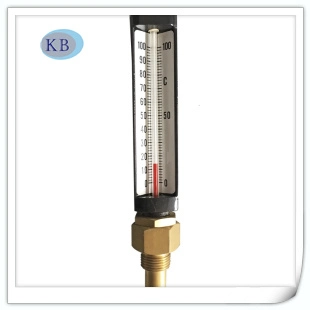 Mercury Glass Brass Scoket Thermometer