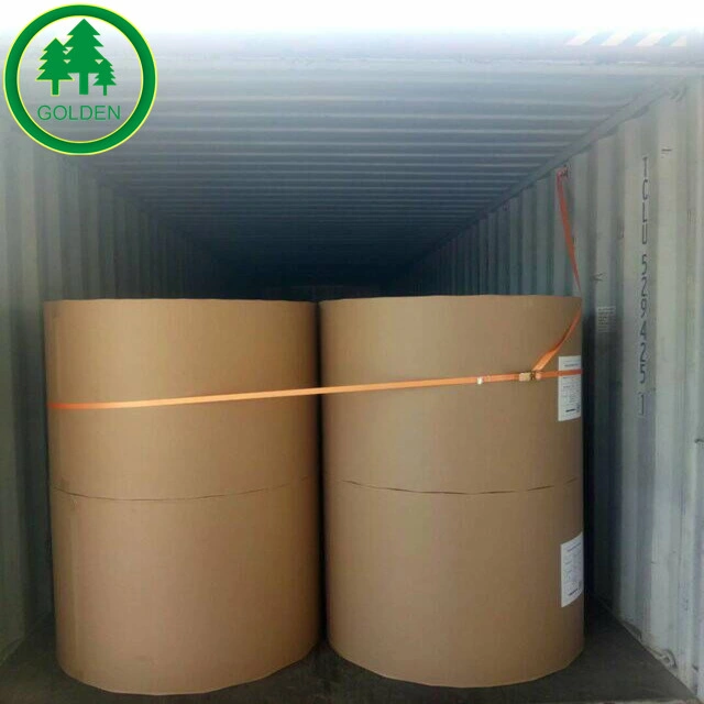 100% Virgin Wood Pulp Kraft Paper with Best Price in China