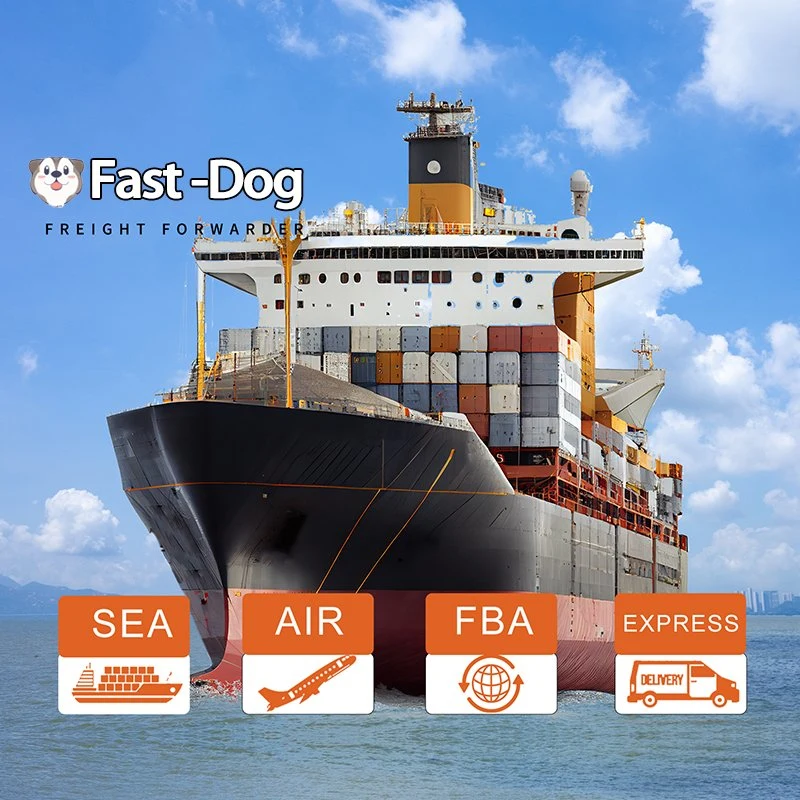 Sea Shipping Air Cargo Service Door to Door Service to USA UK Germany France Express Freight Forwarder