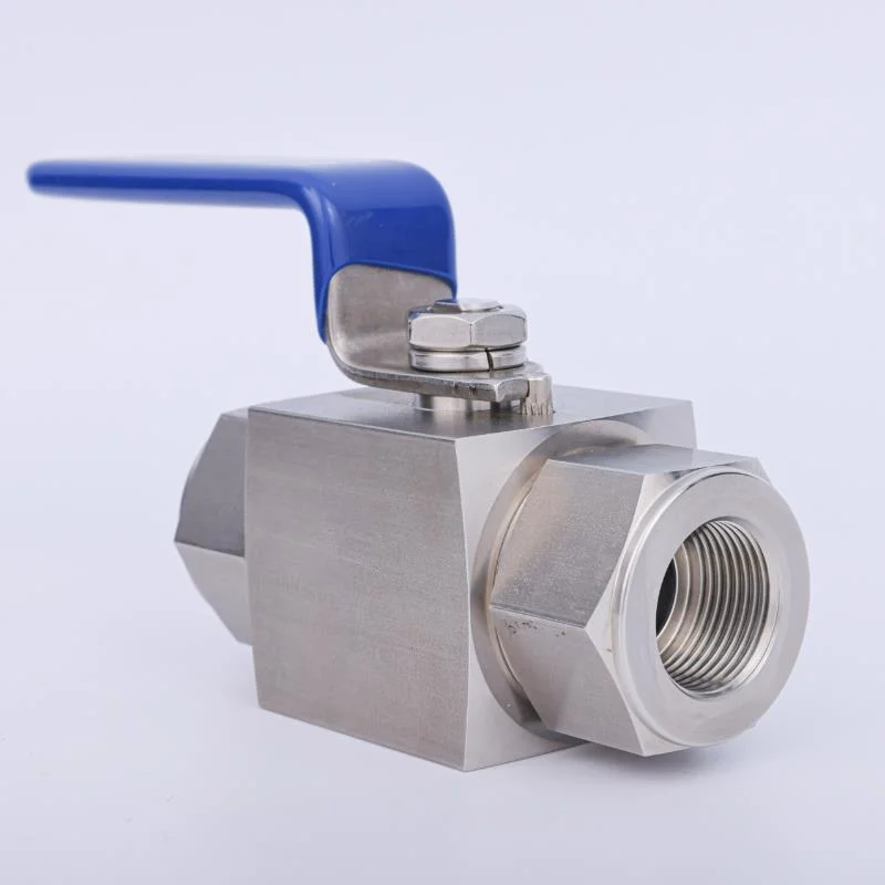 Metric 10mm 12mm 20mm 16mm CNG Hydrogen Compatible Ball Valve SS316 High Pressure Ball Valve