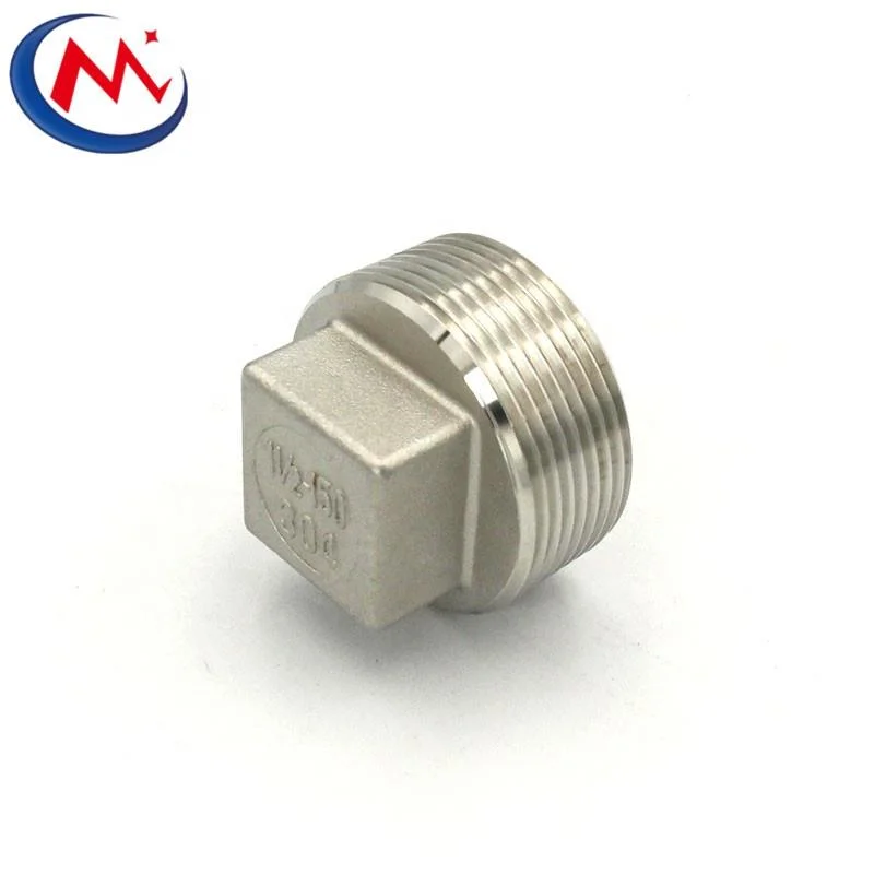 Manufacturer Stainless Steel 304 316 Pipe Fitting Casting Square Plug