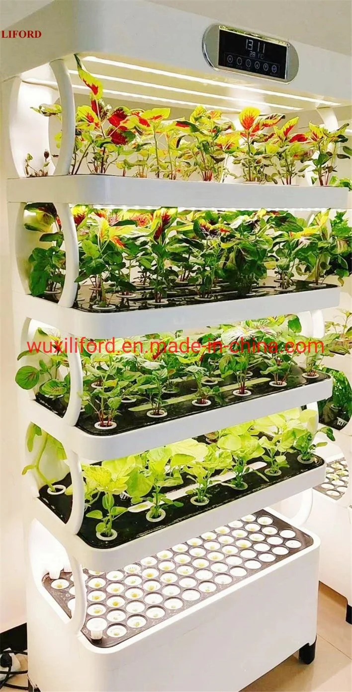 Indoor Plant Growing Hydroponics Growing Systems Greenhouse Vertical