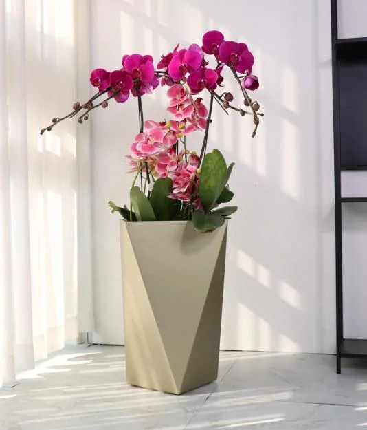 Best Selling Hohe Kunststoff Blumentopf Indoor Kleine Harz Bunte Pflanzen Hochwertige wachsende Planter Hotel Dekor (SJ05-3)