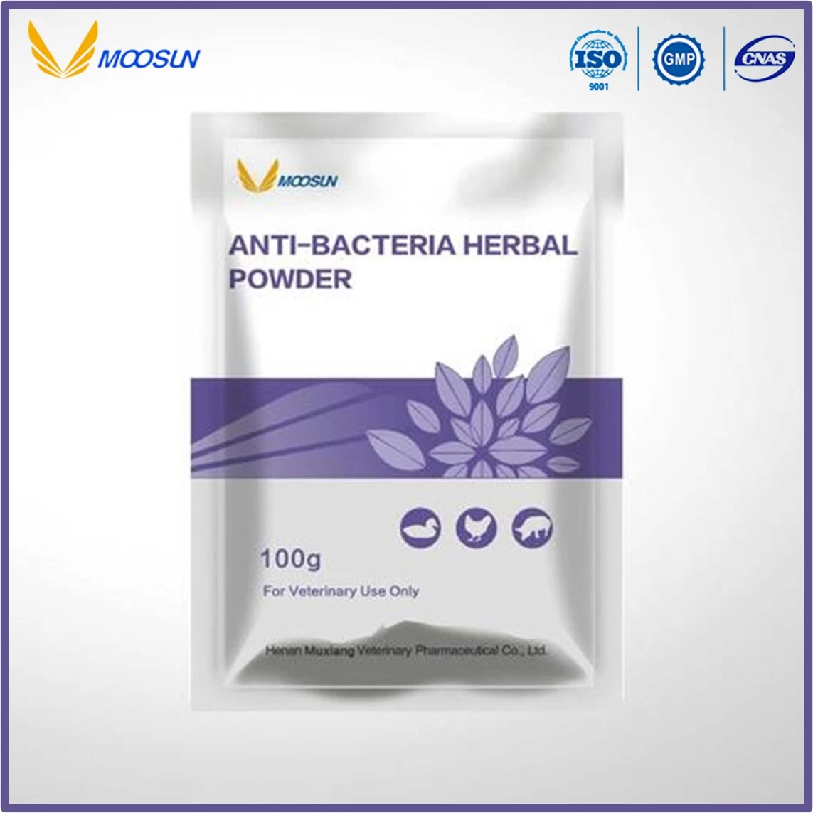 Chinese Manufacture Herbal Veterinary Medicine Anti-Bacteria Herbal Powder for Animals Use with GMP ISO