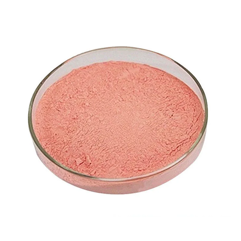 Organic Pure Natural Acerola Cherry Powder 25%Vc Acerola Cherry Fruit Powder