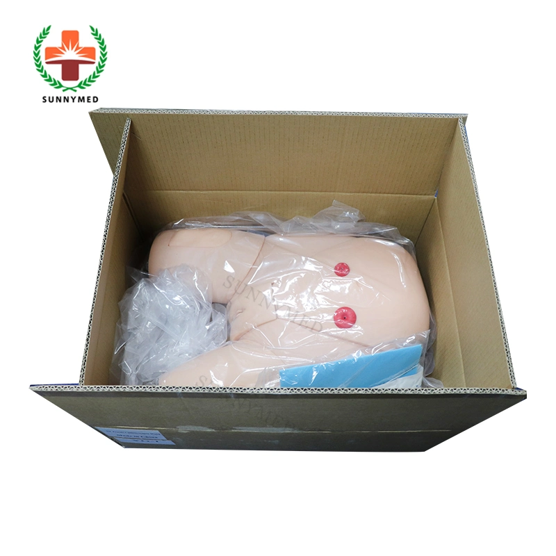 Sy-N045 Medical Nursing Care Female Catheterization Model for University