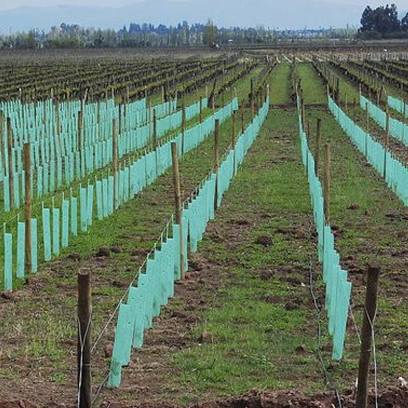 Árbol de plástico corrugado protector para Manzano y otros árboles frutales