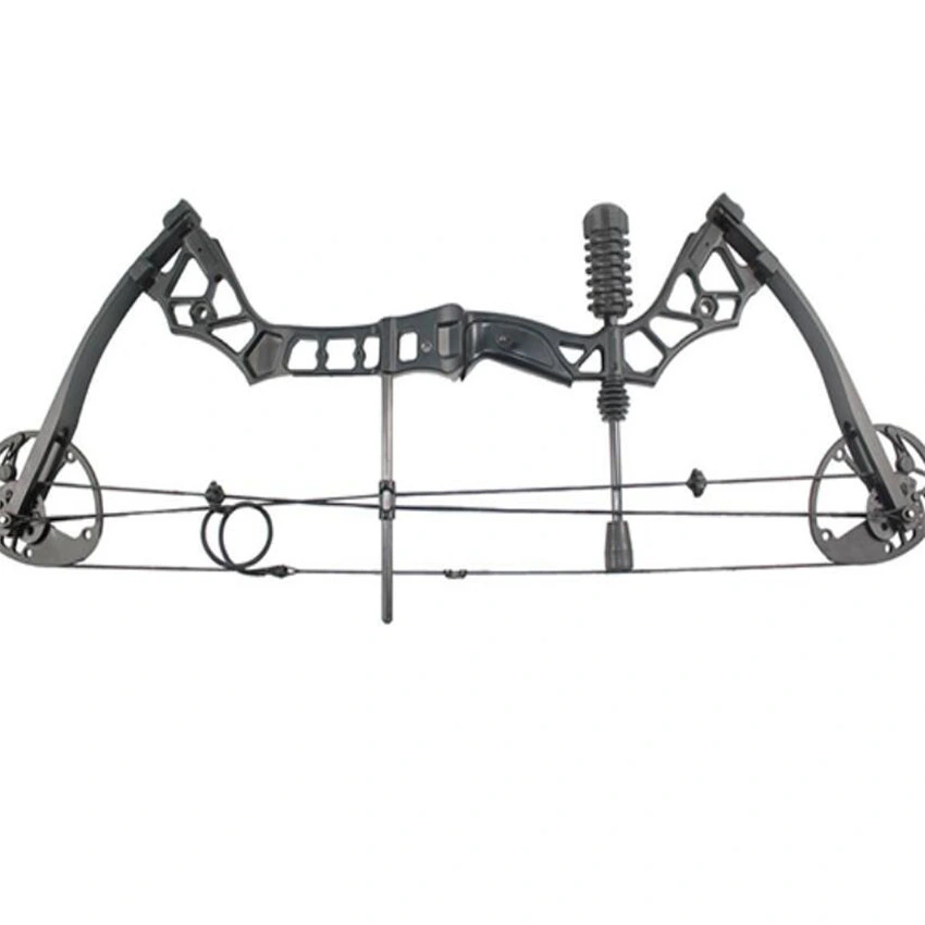 Mini Carbon Fiber Archery Compound Bow Set