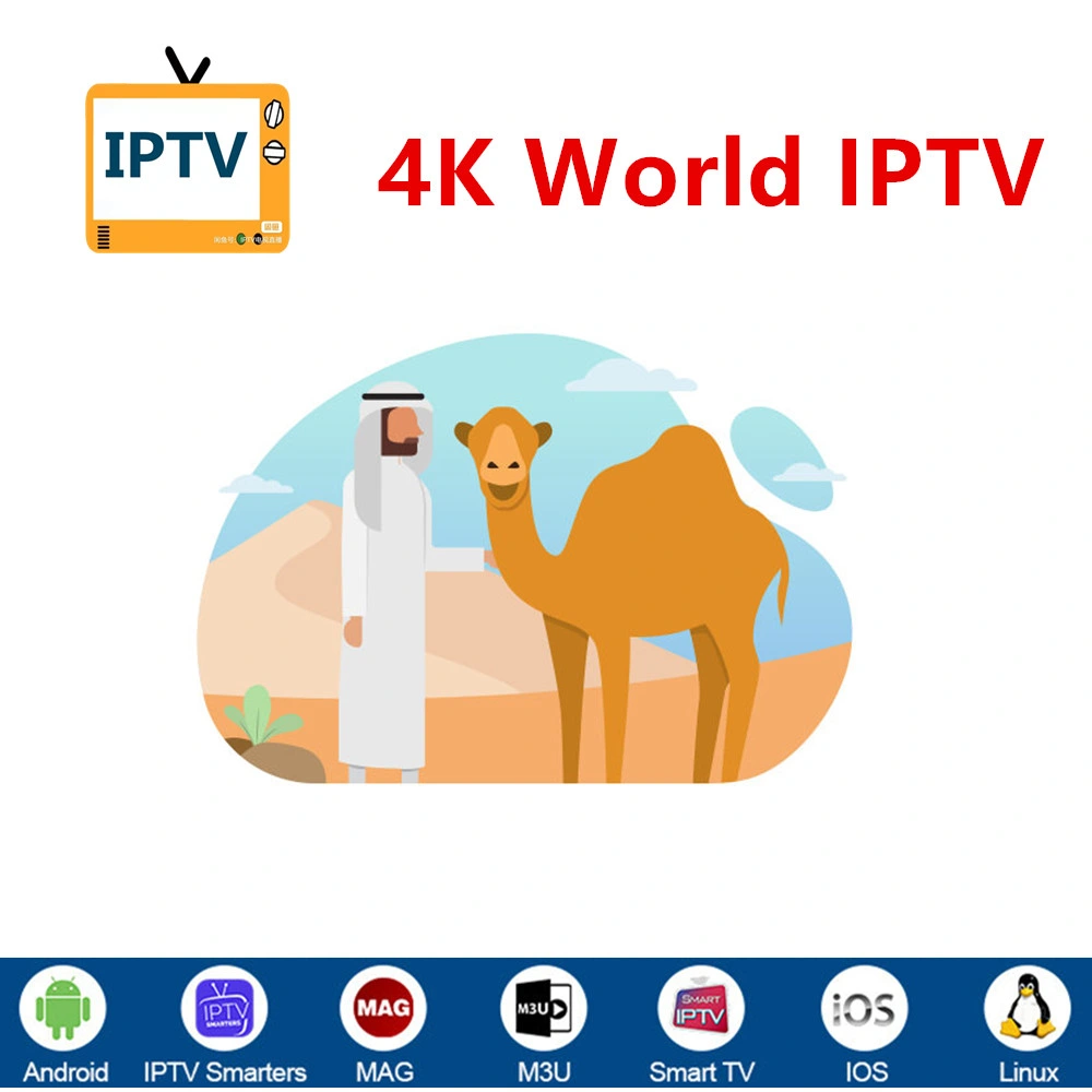 IPTV 12 meses Suscripción 4K m3u Código USA Europa Árabe Servidor del mundo más inteligente del canal