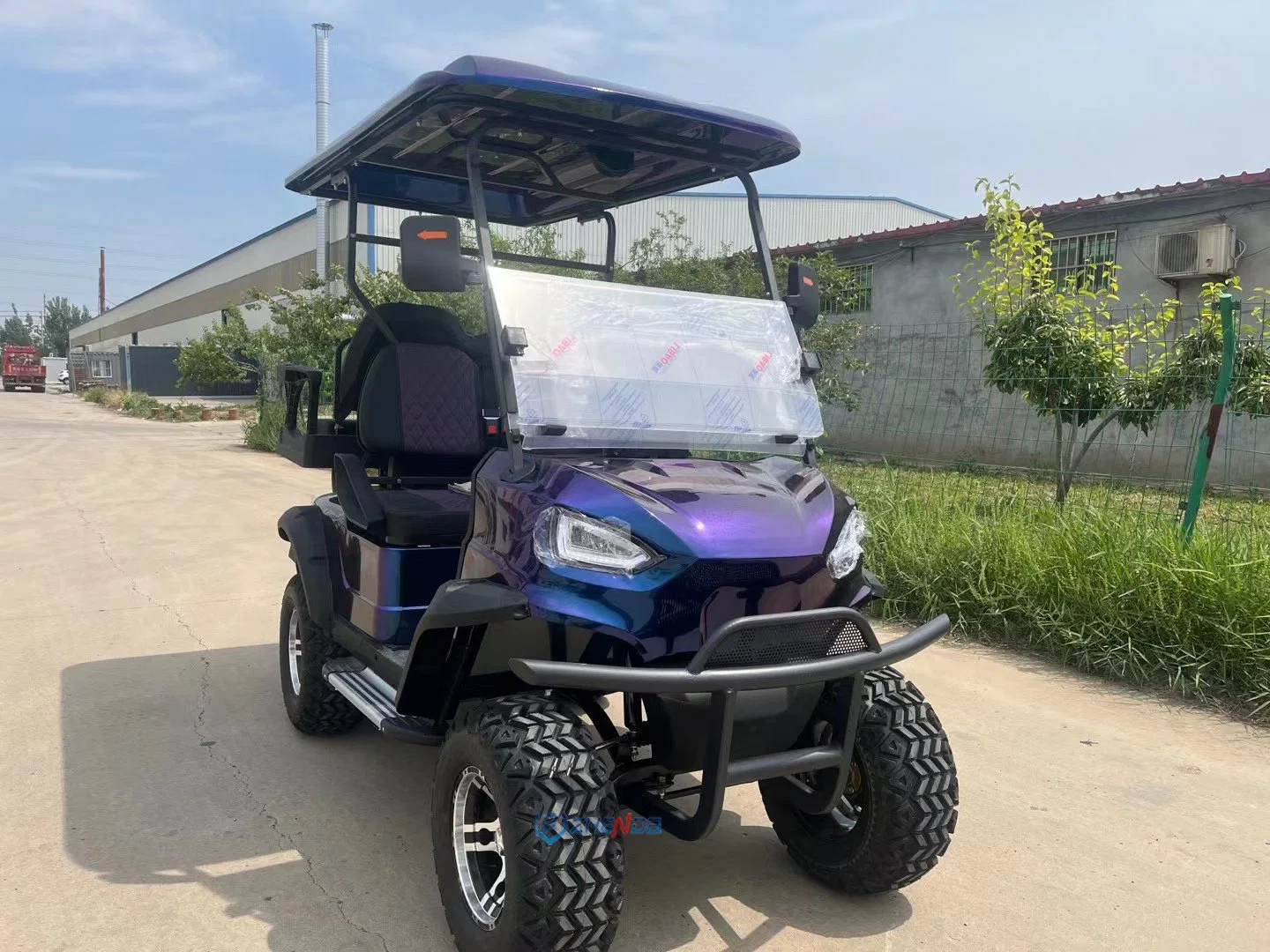 Zhenda New Golf Cart / New Energy Pollution-Free Electric Vehicle with Lithium Battery for Sale