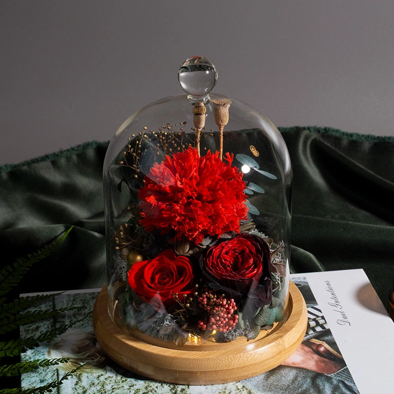 Preserved Fresh Flowers in Dome - Perfect Christmas Home Decoration and Valentine's Day Gift