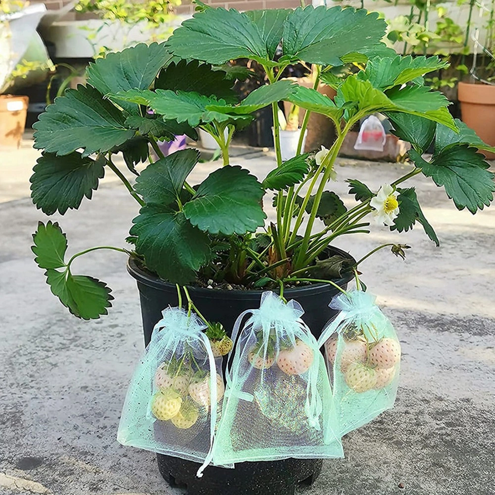 5 Sizes Drawstring Garden Fruit Protection Growing Bag Anti-Bird Netting Bag Grape Planter Palm Date Mesh Bags